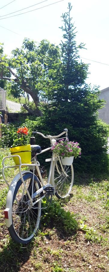 Проживание в семье Apartman Lug Херцег-Нови-23