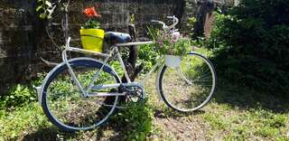 Проживание в семье Apartman Lug Херцег-Нови Люкс с 1 спальней-18