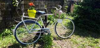 Проживание в семье Apartman Lug Херцег-Нови Люкс с 1 спальней-61