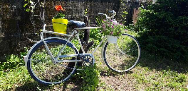 Проживание в семье Apartman Lug Херцег-Нови-21